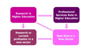 4 boxes labelled research in higher education, professional services in higher education, research or current profession in a new sector, new role in a new sector.