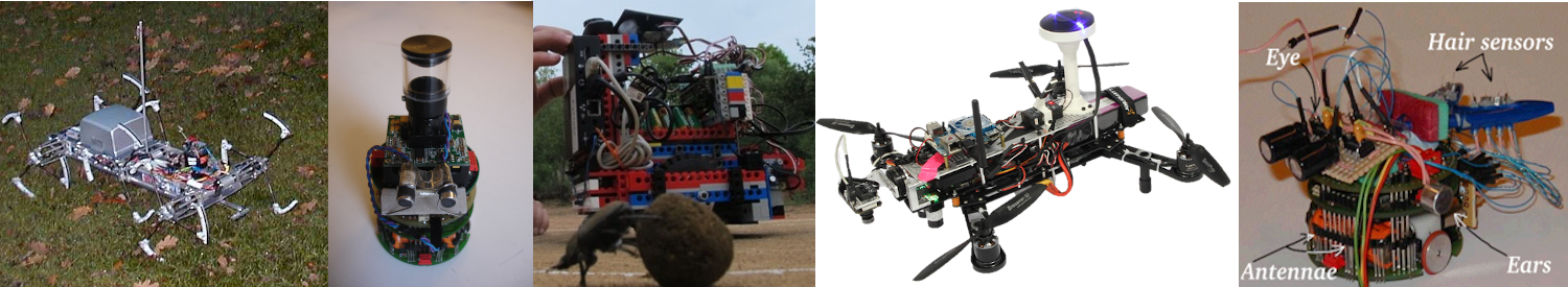 insect robots