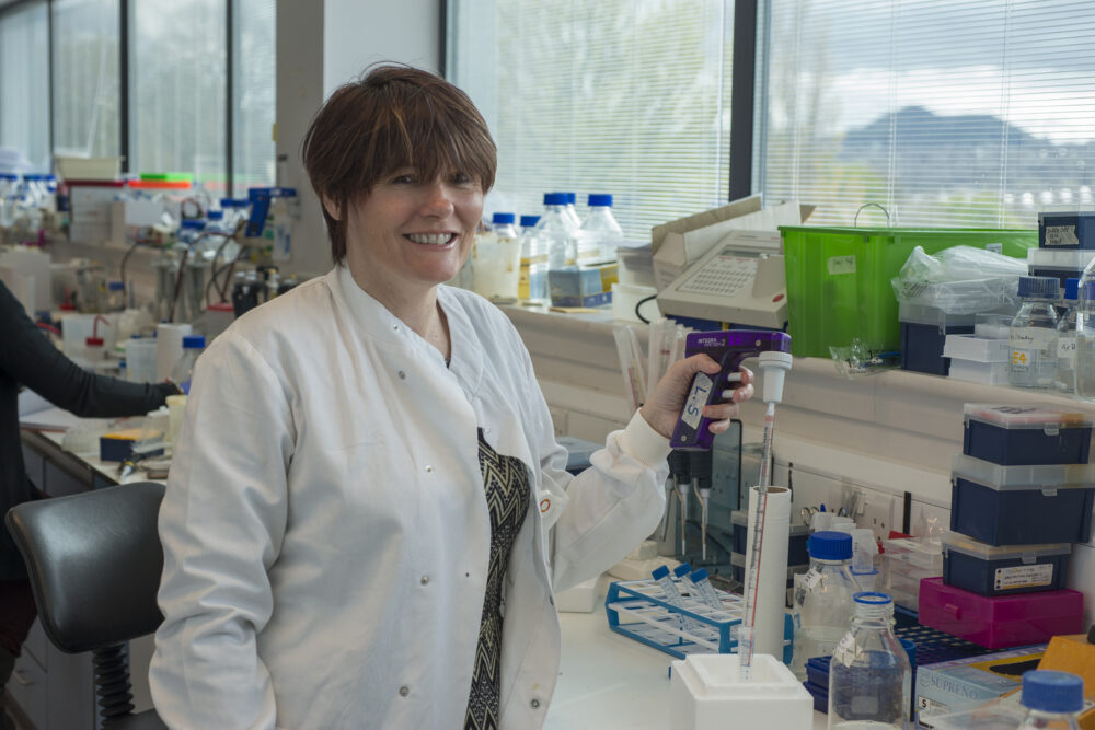 Professor Lesley Stark
