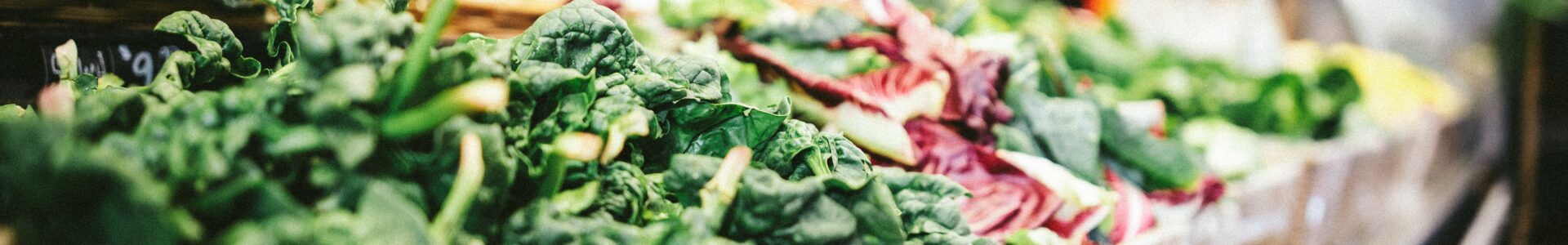 Sustainable eating in Edinburgh