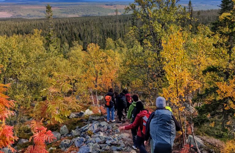 Martha’s Swedish Sojourn: recounting a Scandinavian year abroad