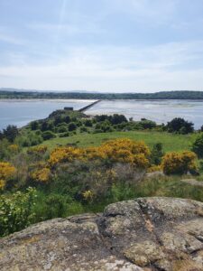 Some green trees with the sea of Cramond Beach in the background
