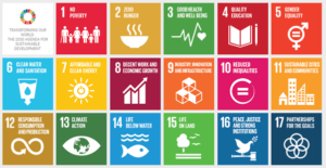 SDG grid